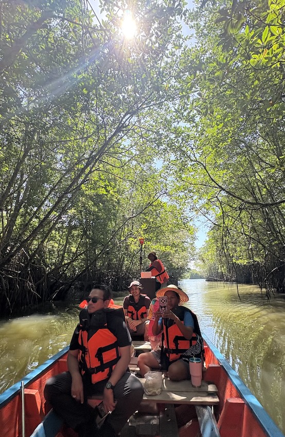 mangrove-boat-tour