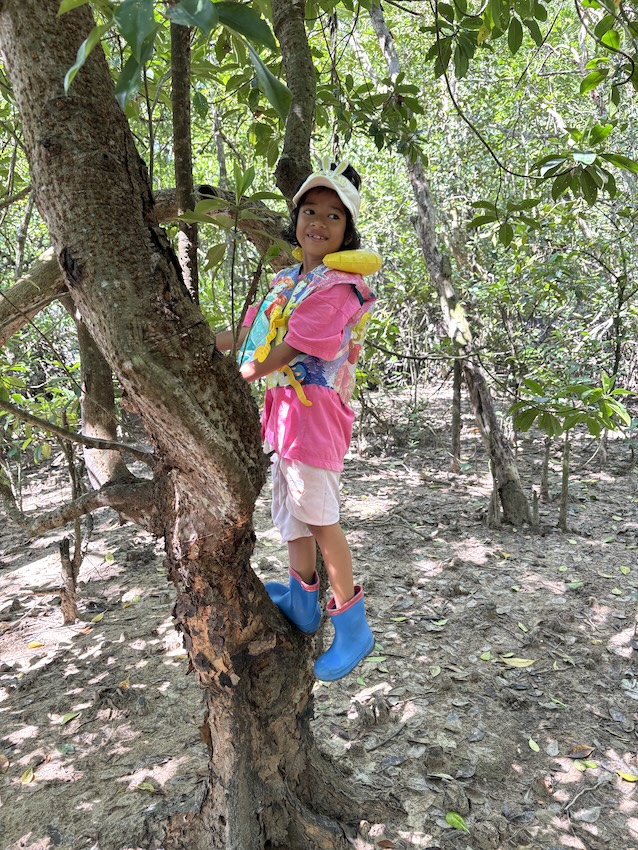 mangrove-climbing-tree