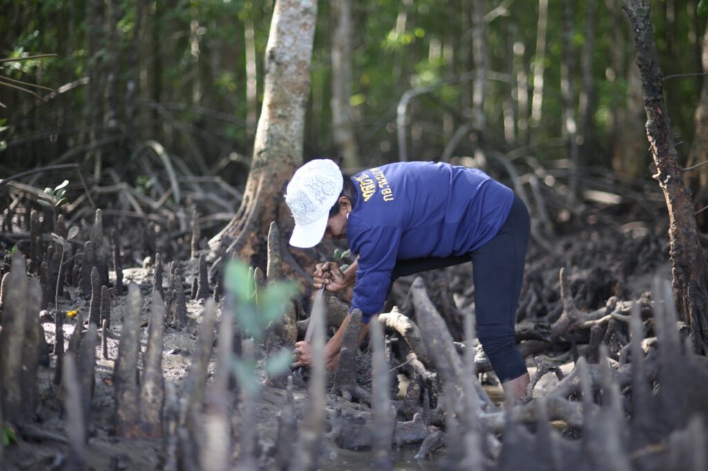 Foraging the mangroves