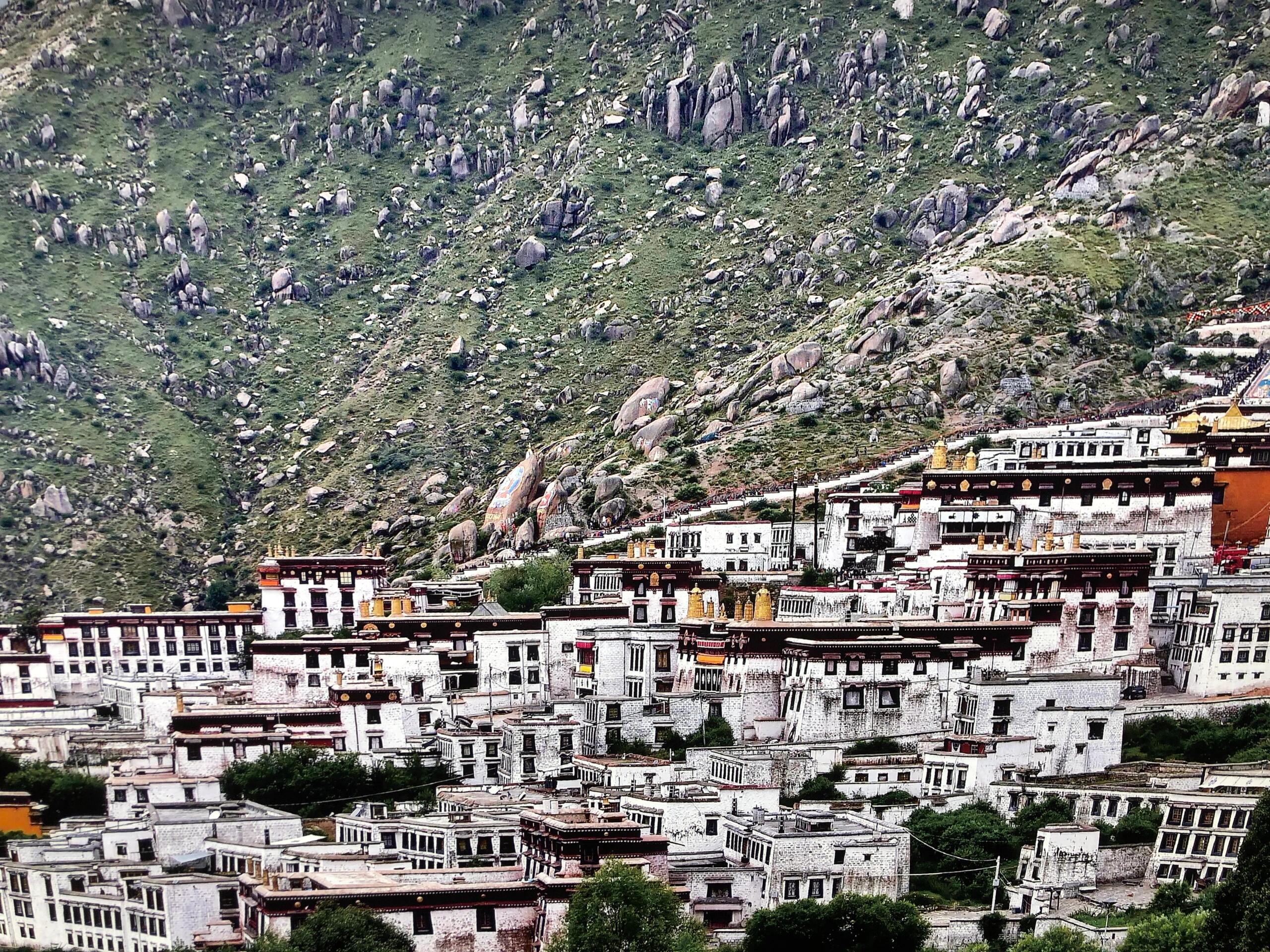 Drepung Monastery