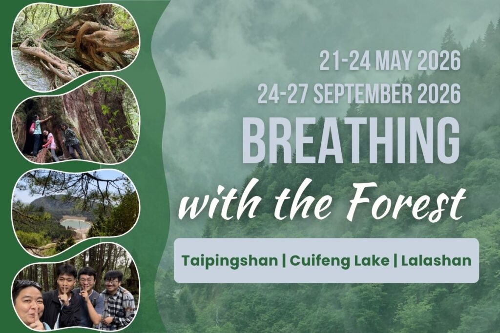 Breathing with the Forest
