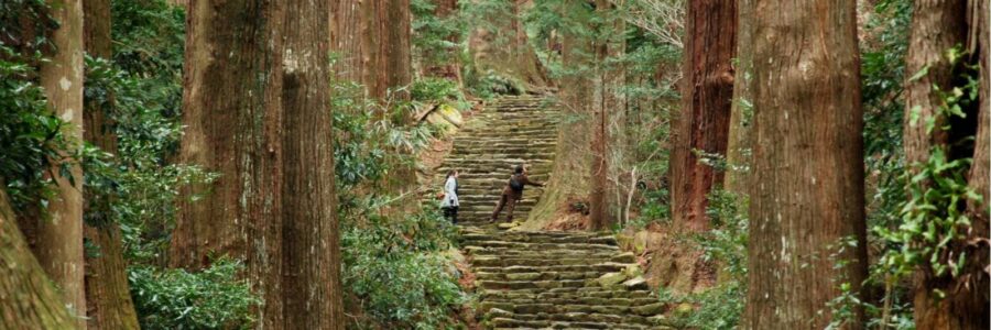 Daimon-Zaka_-Kumano-Kodo_-Japan-1560947-1600px (1)