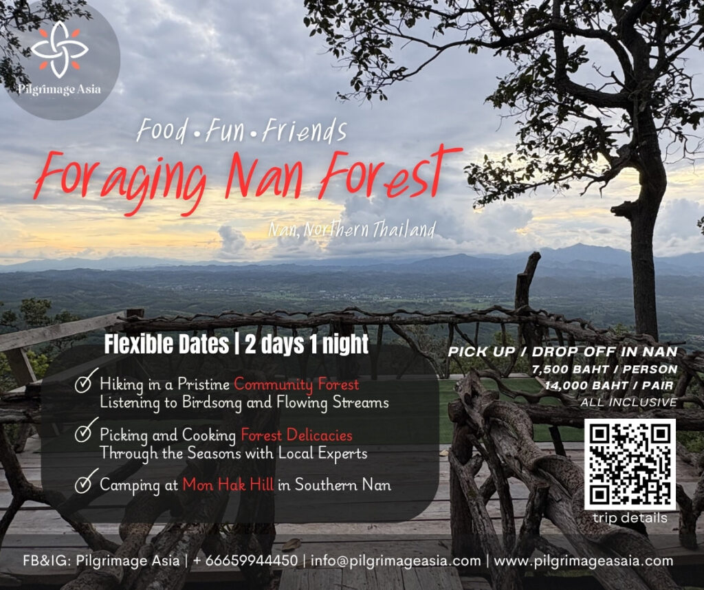 Food Fun Friends: Foraging Nan Forest