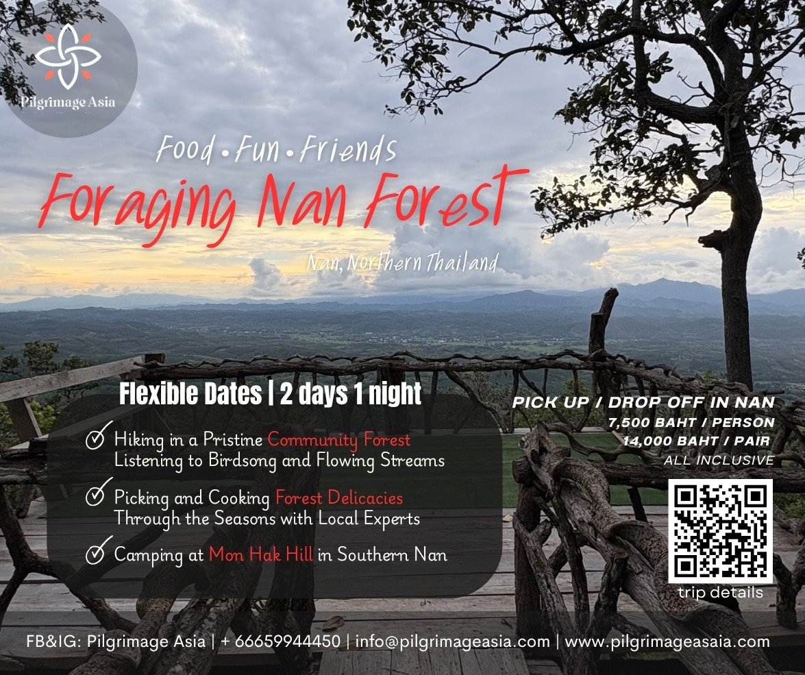 Food Fun Friends: Foraging Nan Forest