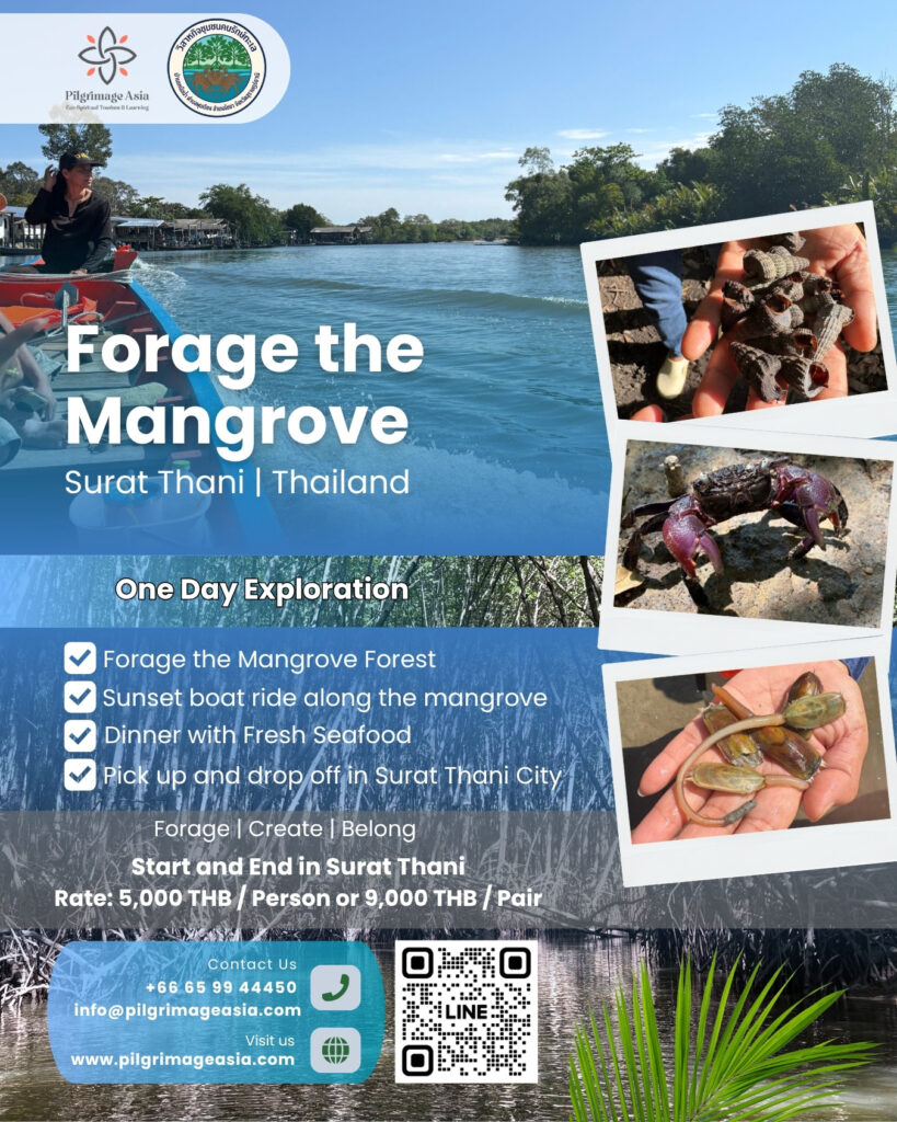 Foraging The Mangroves