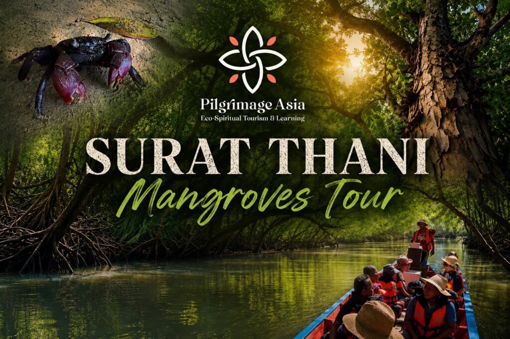Surat Thani Mangroves Tour