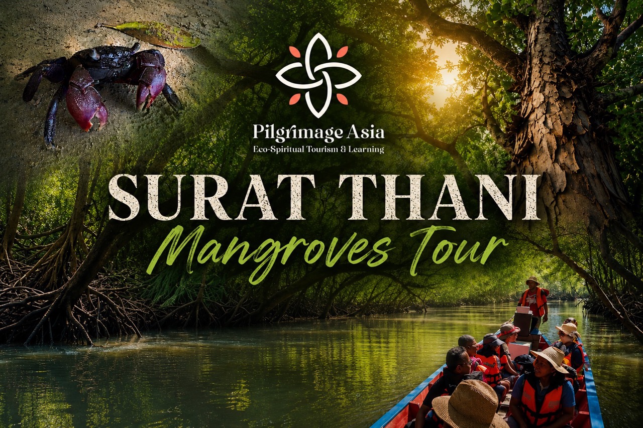Surat Thani Mangroves Tour