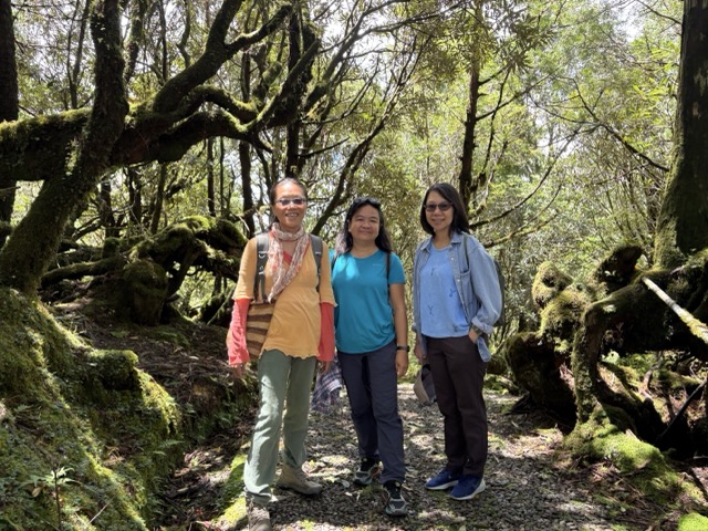 Taiwan